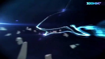 Comment nourrir le requin le plus dangereux du monde ?