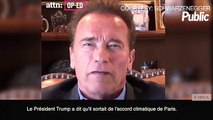 Vidéo : Arnold Schwarzenegger : 