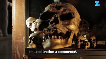 La maison aux 1000 cadavres de poupées