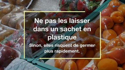 Pommes de terre : 10 astuces pour les empêcher de germer