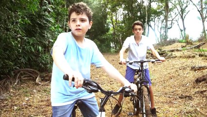 Marion, Galos e Passarinhos | movie | 2021 | Official Trailer