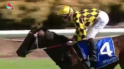 Insolite : un jockey perd son pantalon en pleine course