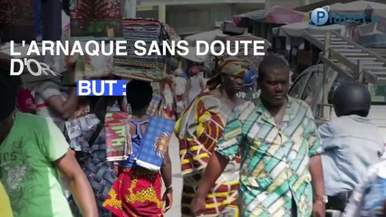 Attention à la nouvelle escroquerie Facebook : l'arnaque aux chatons !