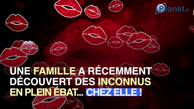 Ils se glissent chez des inconnus pour faire l'amour et repartent en saluant leurs hôtes