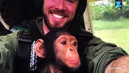 Le bébé chimpanzé qui apprenait à voler