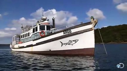 Petit bateau + grand requin = gros problèmes