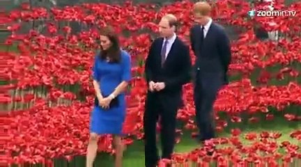 William, Kate et Harry dans un champ de coquelicots