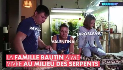 Cette famille russe vit avec 40 serpents !