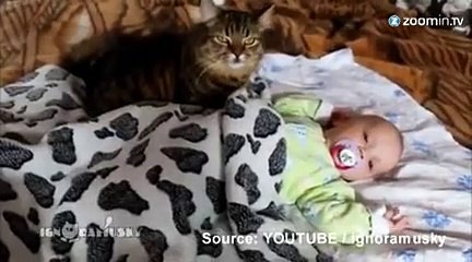 Un bébé massé par un chat