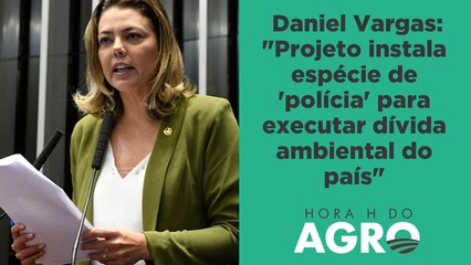 Mercado de carbono: "PL apoiado pelo governo cria mais obrigações e ameaças do que oportunidades"