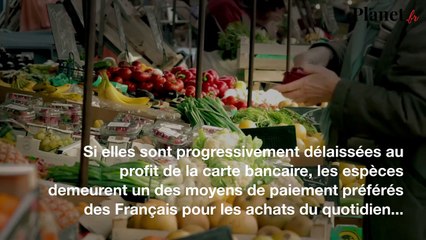 Paiement en espèces : 5 cas où il faut préférer la carte bancaire