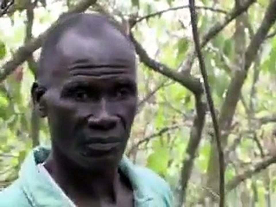 Côte d'Ivoire: l'école pour éradiquer le travail des enfants