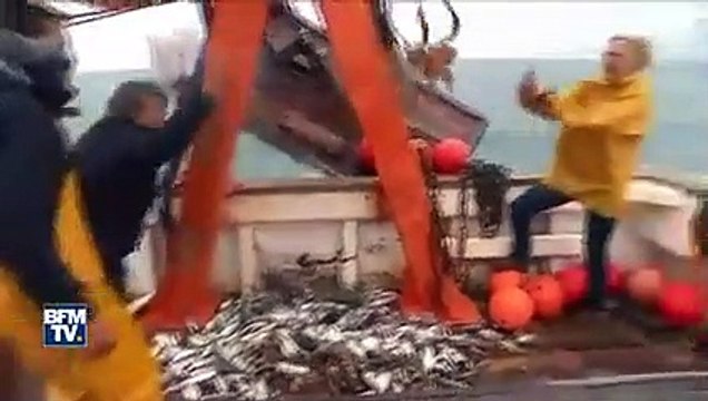 Gilbert Collard lance un poulpe à Marine Le Pen sur un bateau de pêche