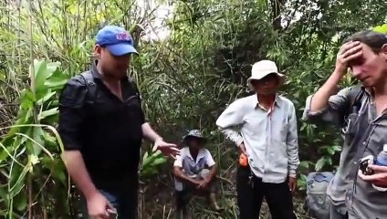 Découverte d'une cité perdue dans la jungle cambodgienne