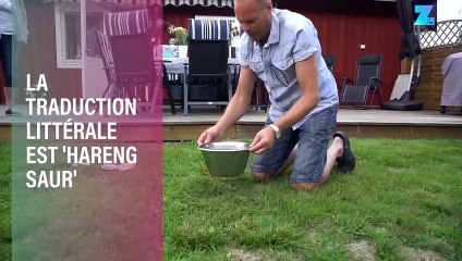 Qui osera manger ce poisson suédois fermenté ?