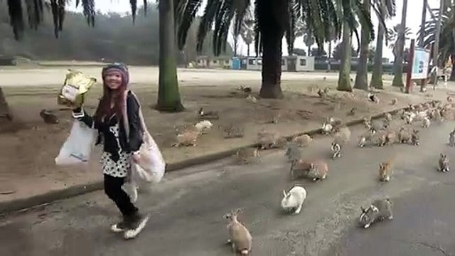Elle se fait attaquer par des lapins