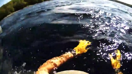 Il sauve un écureuil de la noyade