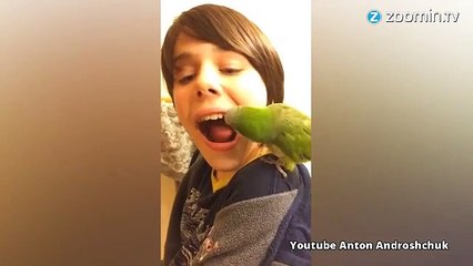 Un arracheur de dents révolutionnaire et... vivant !