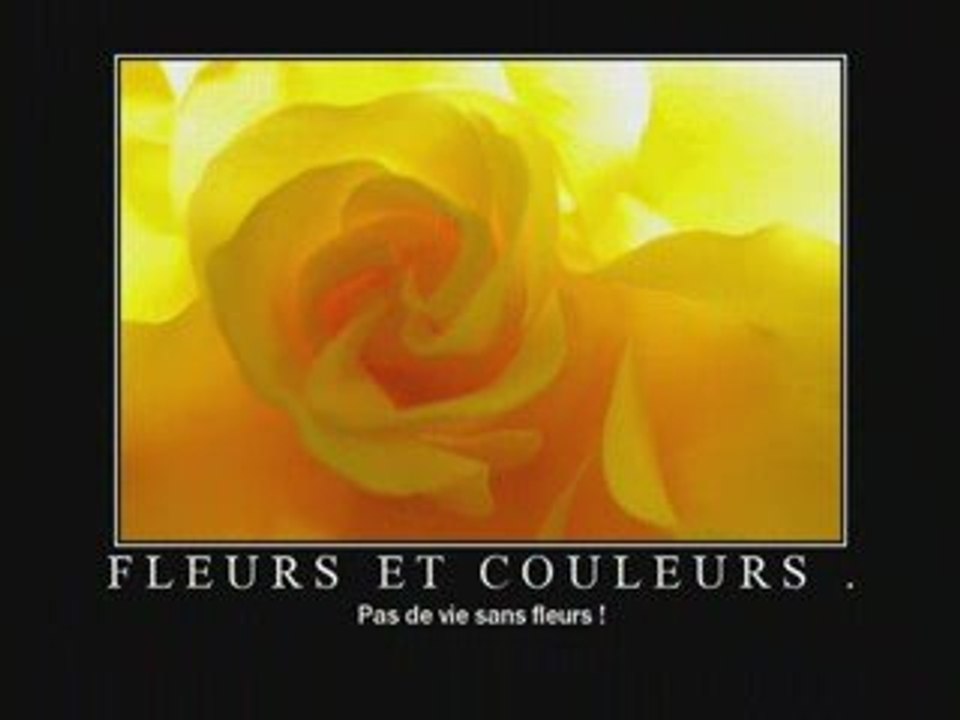 Fleurs et Couleurs