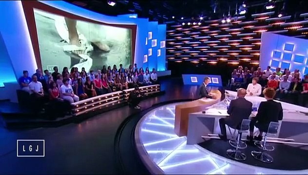 Raphaëlle Dupire nue dans une fausse pub du Grand Journal