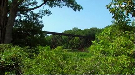 Elles échappent à la mort d'extrême justesse