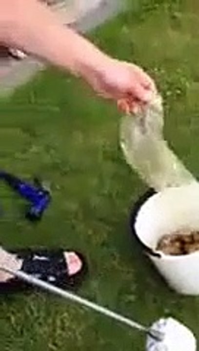 Une nouvelle astuce révolutionnaire pour éplucher les pommes de terre