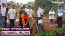 Perbaiki Kualitas Udara, Ribuan Pohon di Tanam di Jalan Kali Malang