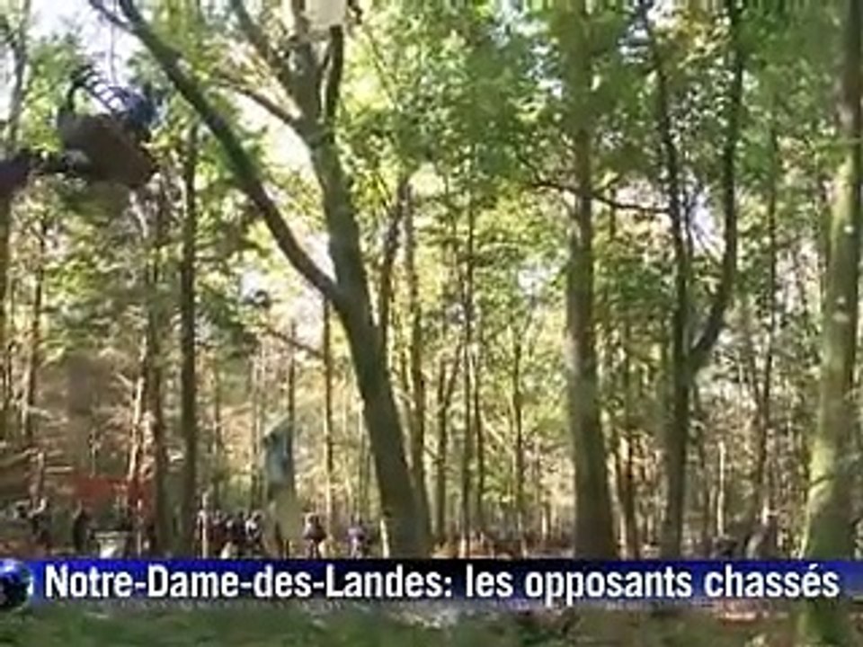 Notre-Dame-des-Landes: les opposants à l'aéroport poursuivis dans les arbres