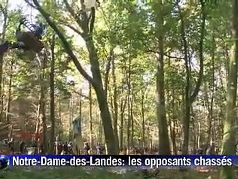 Notre-Dame-des-Landes: les opposants à l'aéroport poursuivis dans les arbres