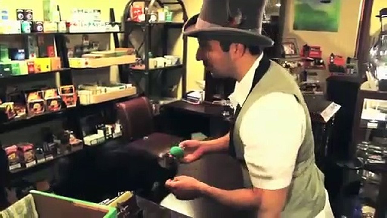 Que se passe-t-il lorsqu'on fait un tour de magie à un chat ?