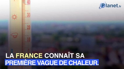 Pic de chaleur : 5 astuces pour se rafraîchir avec de l'eau