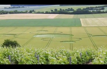 Un crop circle à Crézancy-en-Sancerre