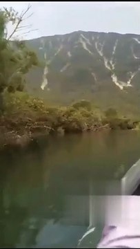 Grizzly bear chases after speed boat