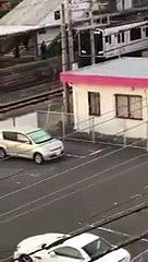 Japon : un homme attaqué en pleine rue par un sanglier !