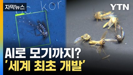 [자막뉴스] 정확도 무려 '94.7%'... 모기 박멸 가능할까? / YTN