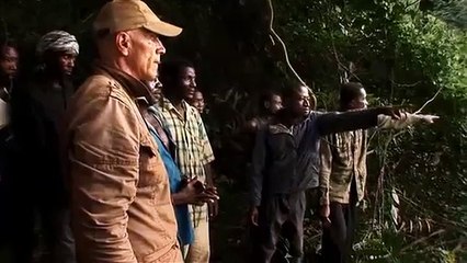 L'hypothese du Mokele-Mbembe