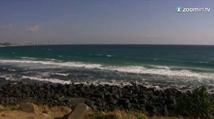 Ils sauvent une baleine piégée dans un filet