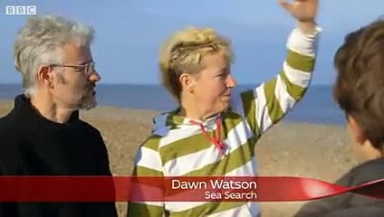 Une forêt engloutie découverte dans la mer du Nord