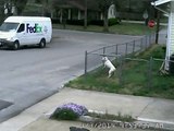 Un livreur de FedEx oublie de mettre le frein à main