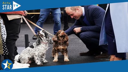 Kate et William surprennent  cette vidéo très inhabituelle qu’ils ont partagé en pleines vacances
