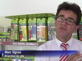 Dans la Drôme, une fabrique géante d'insectes utiles