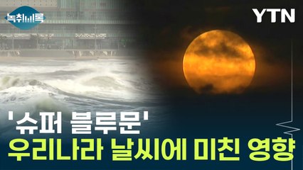 부산 한때 폭풍해일 주의보... '슈퍼 블루문' 때문? [Y녹취록] / YTN