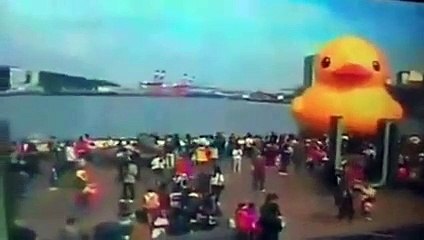 Le canard géant explose à Taiwan