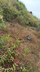 SERUNYA HEALLING KE PANTAI SRAU PACITAN