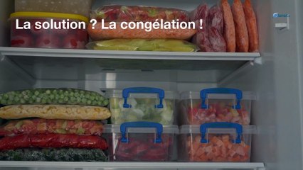 Saumon fumé : peut-il se congeler ?