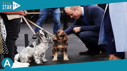 Kate et William surprennent  cette vidéo très inhabituelle qu’ils ont partagé en pleines vacances