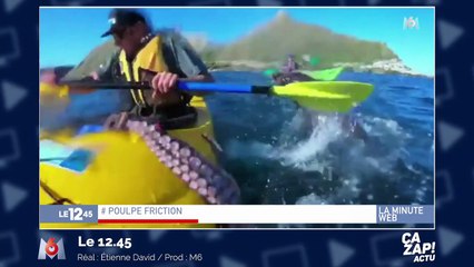 Une otarie gifle un kayakiste avec un poulpe !