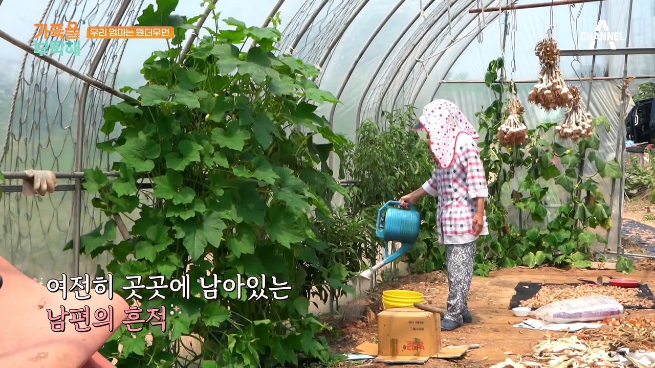 집에서 홀로 5남매를 출산했다? 산후조리 없이 고된 일을 했던 어르신!