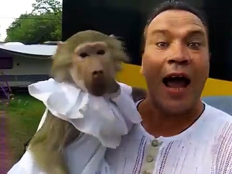 Un singe imite son maître
