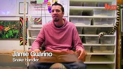 Il laisse sa fille de 14 mois jouer avec un pyhton